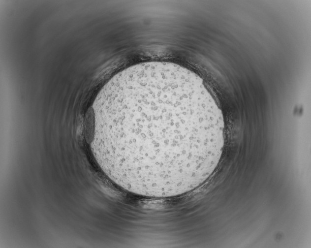 X0000098110132200805021142