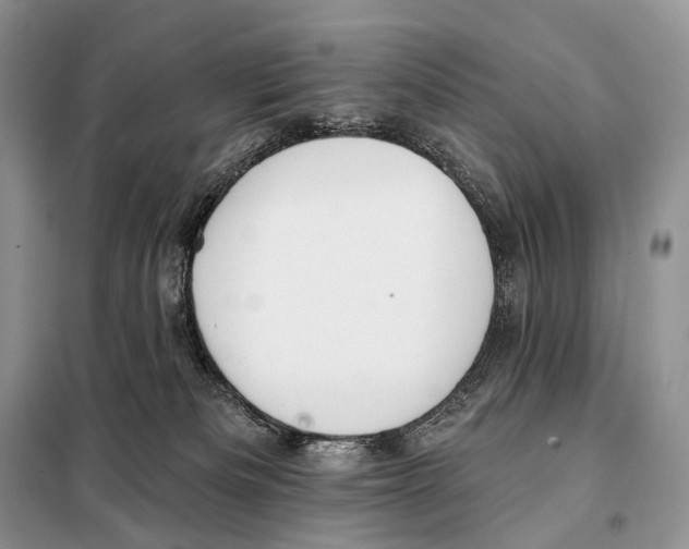 X0000098110133200805021142