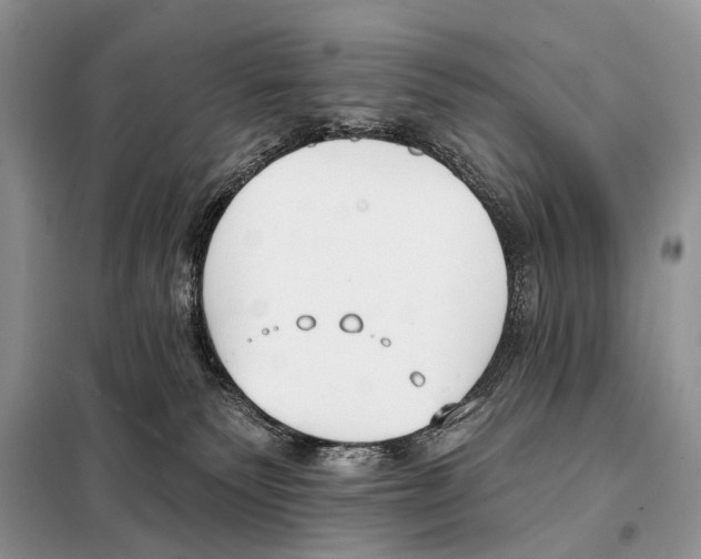 X0000098110135200805021141