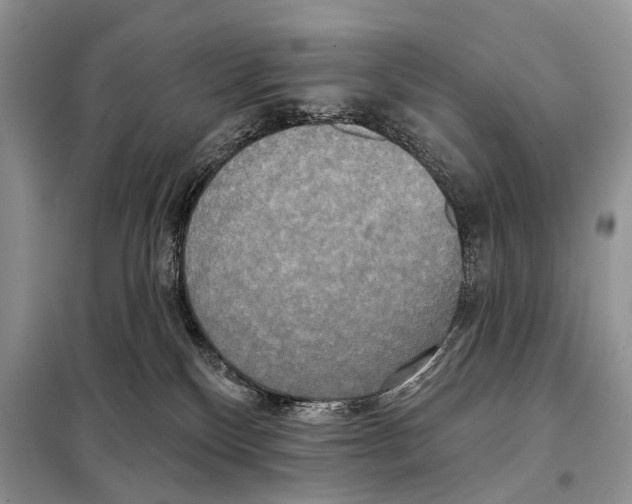 X0000098110136200805021141