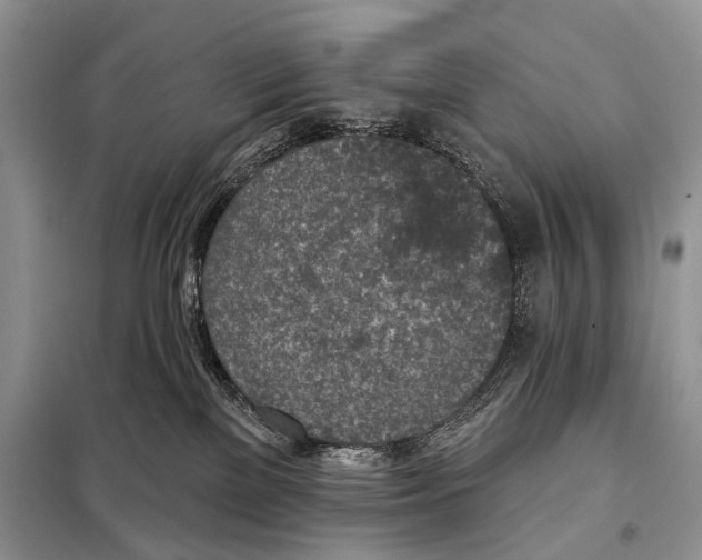 X0000098110137200805021141