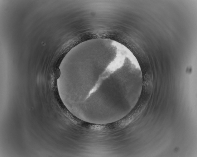 X0000098110139200805021141