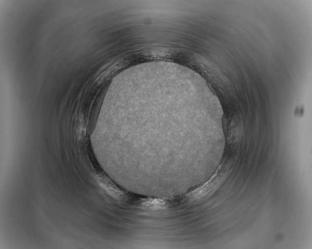 X0000098110140200805021141