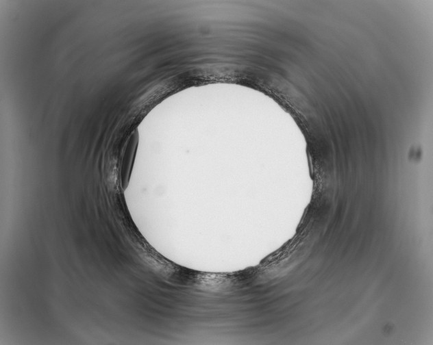 X0000098110141200805021141