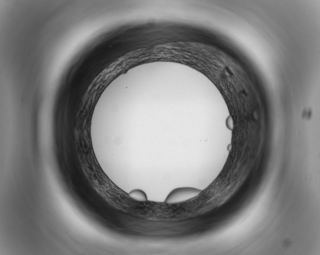 X0000098110142200805021141