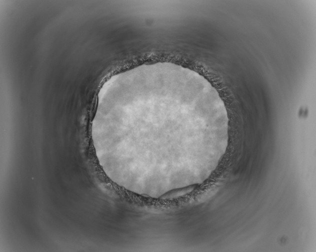 X0000098110144200805021141