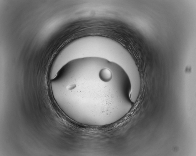 X0000098110146200805021141