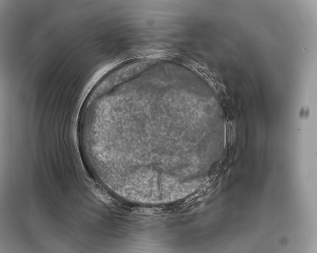 X0000098110147200805021141