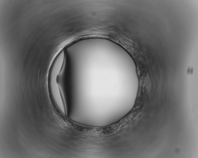 X0000098110148200805021141