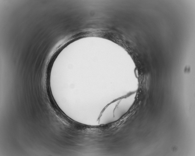 X0000098110150200805021141