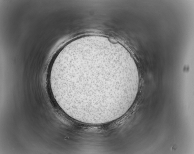 X0000098110151200805021141