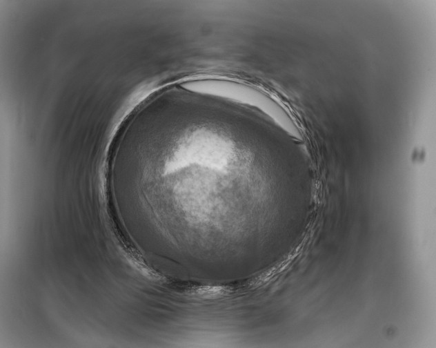 X0000098110152200805021141