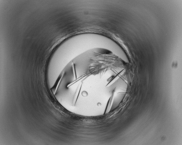 X0000098110154200805021141