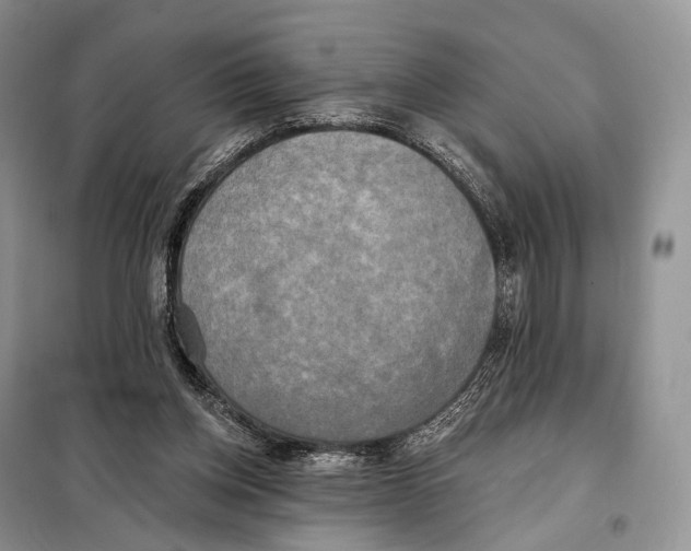 X0000098110158200805021141