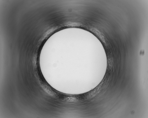 X0000098110159200805021141