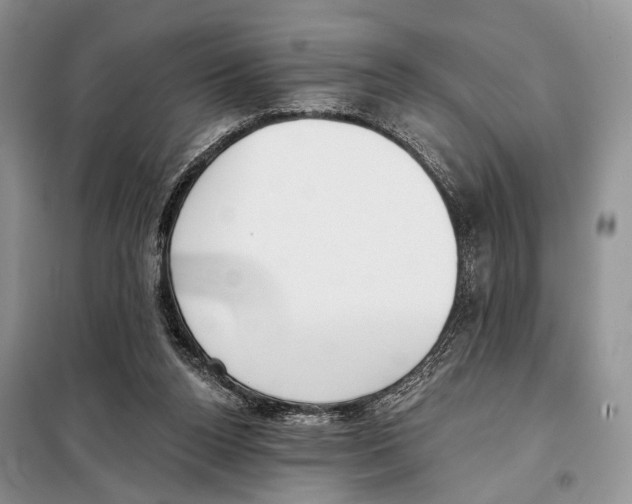 X0000098110160200805021141