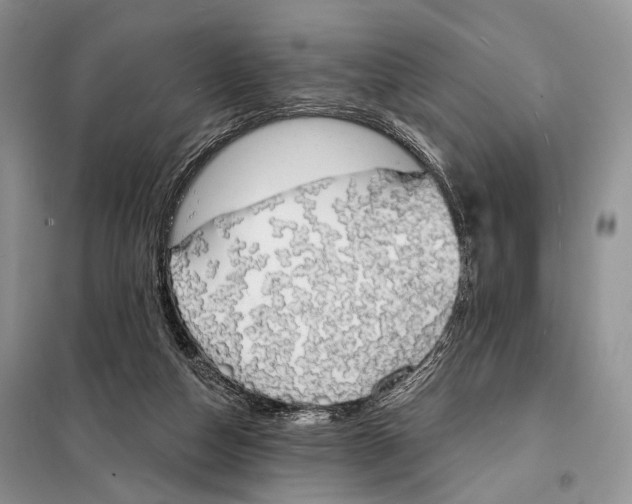 X0000098110162200805021141