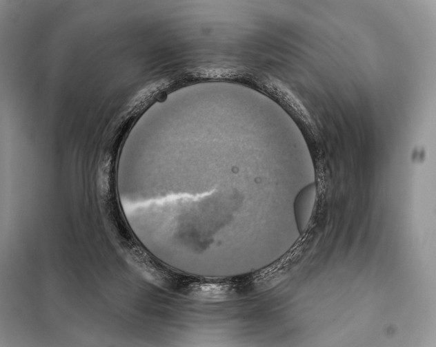 X0000098110163200805021141