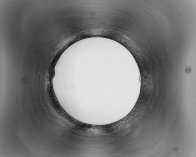 X0000098110164200805021141