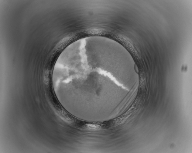 X0000098110167200805021141