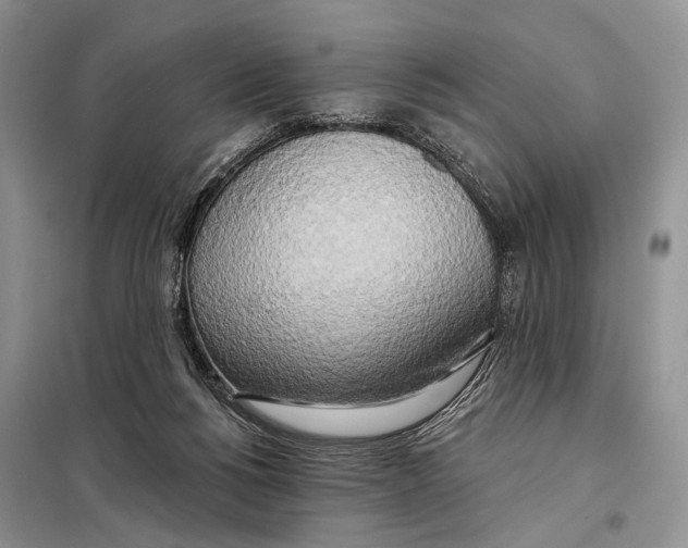 X0000098110168200805021141