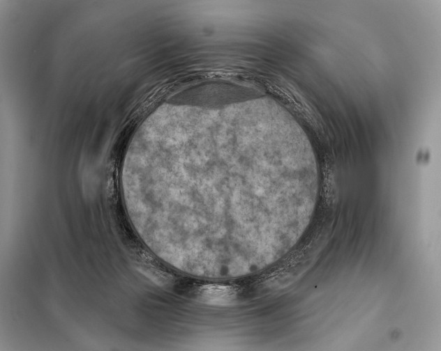 X0000098110169200805021141