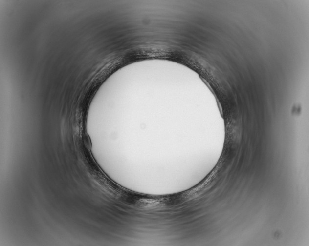 X0000098110170200805021141