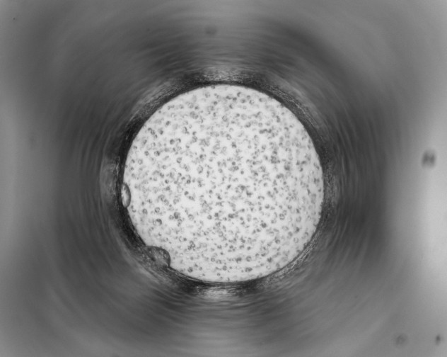 X0000098110171200805021141
