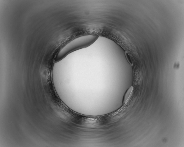 X0000098110176200805021141