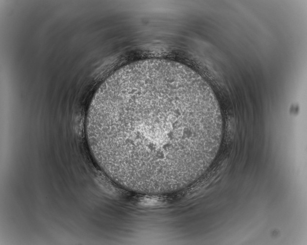 X0000098110177200805021141