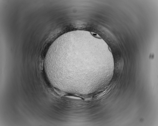 X0000098110180200805021141