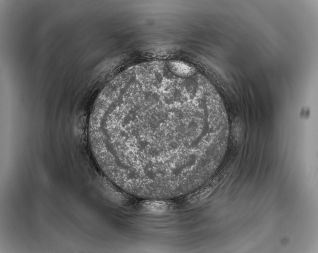 X0000098110181200805021141