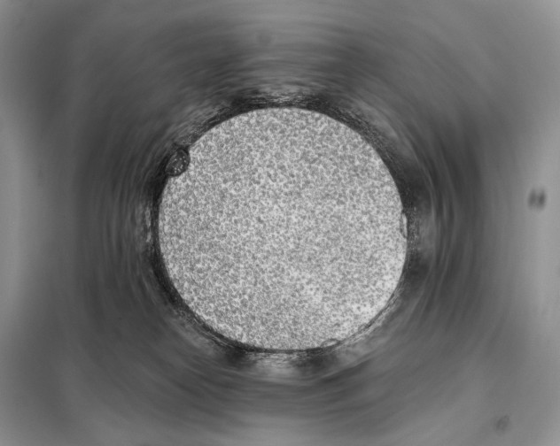 X0000098110182200805021141