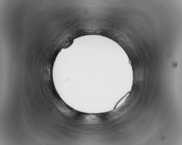 X0000098110183200805021141