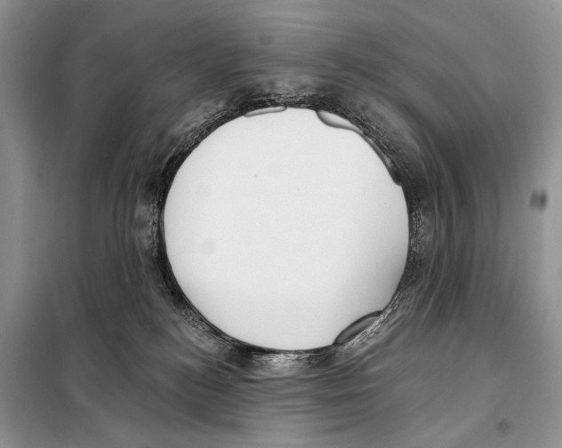 X0000098110184200805021141