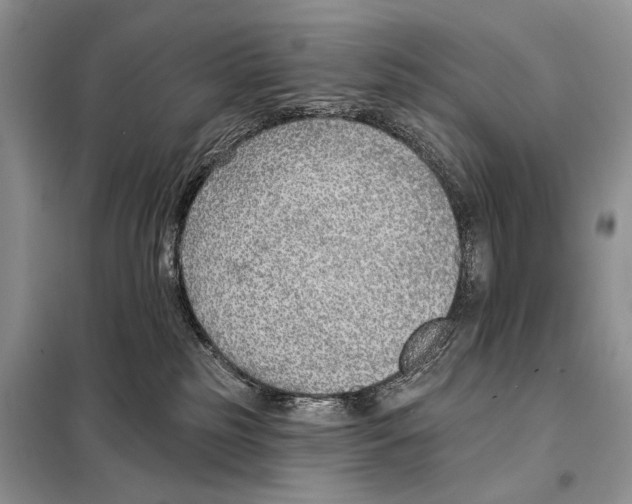 X0000098110185200805021141