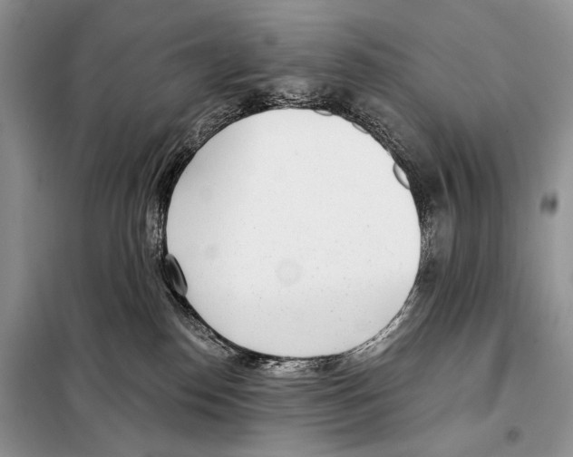 X0000098110186200805021141