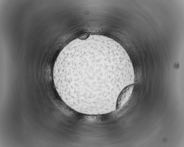 X0000098110187200805021141