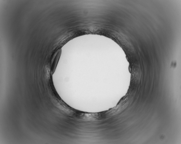 X0000098110188200805021141