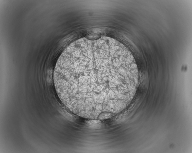 X0000098110189200805021141
