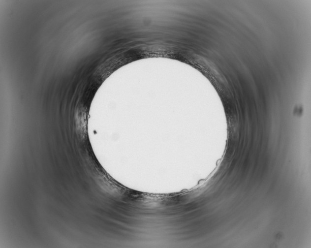 X0000098110190200805021141