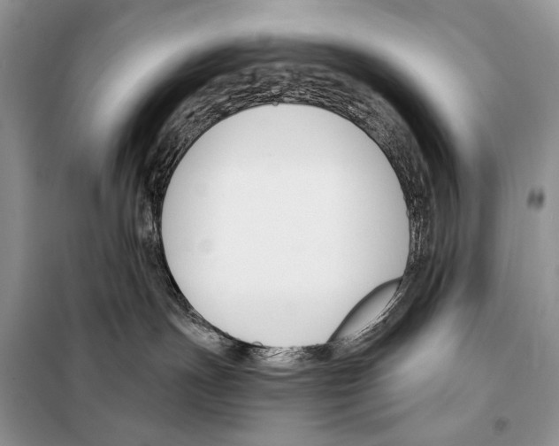 X0000098110191200805021141