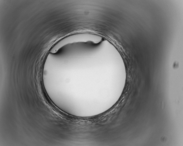 X0000098110193200805021141