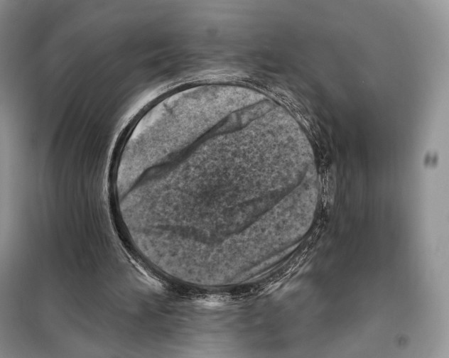 X0000098110196200805021141