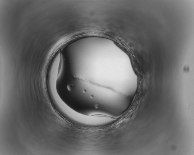 X0000098110197200805021141