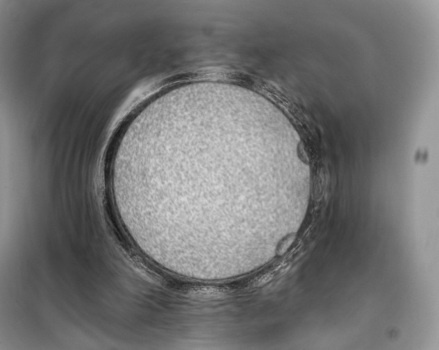 X0000098110198200805021141