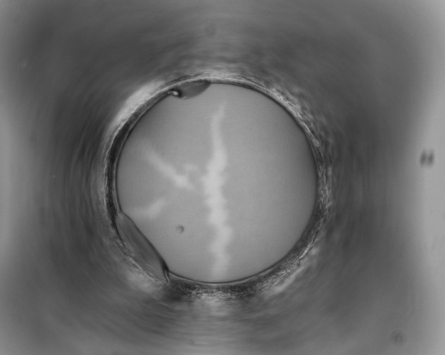 X0000098110199200805021141