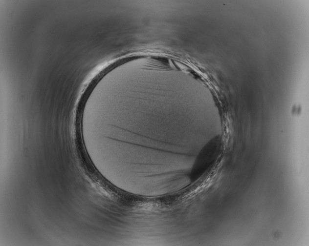 X0000098110200200805021141