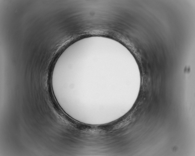 X0000098110201200805021141