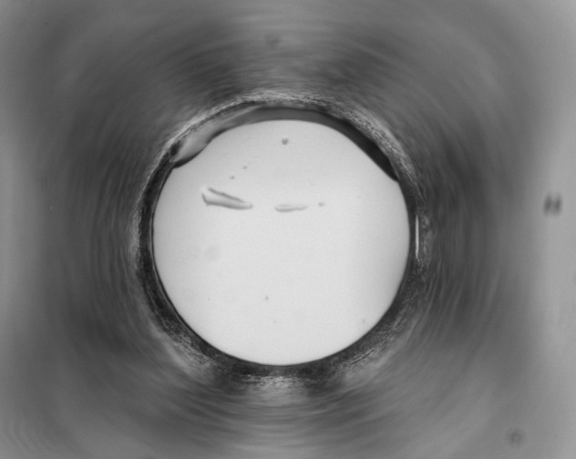 X0000098110204200805021141